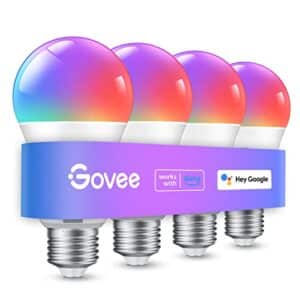 Product image of govee-changing-dynamic-bluetooth-assistant-b09b7nqt2k