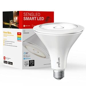 Product image of sengled-smartthings-google-required-outdoor-b07j6jk2bg