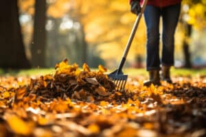 www.appr.com : Do leaf blowers negatively impact the environment?