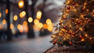 www.appr.com : How do you put lights on a tree outdoors?