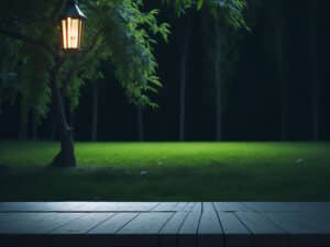 www.appr.com : Lumens needed for backyard floodlight?