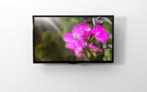www.appr.com : smart TV 40 inch works with alexa
