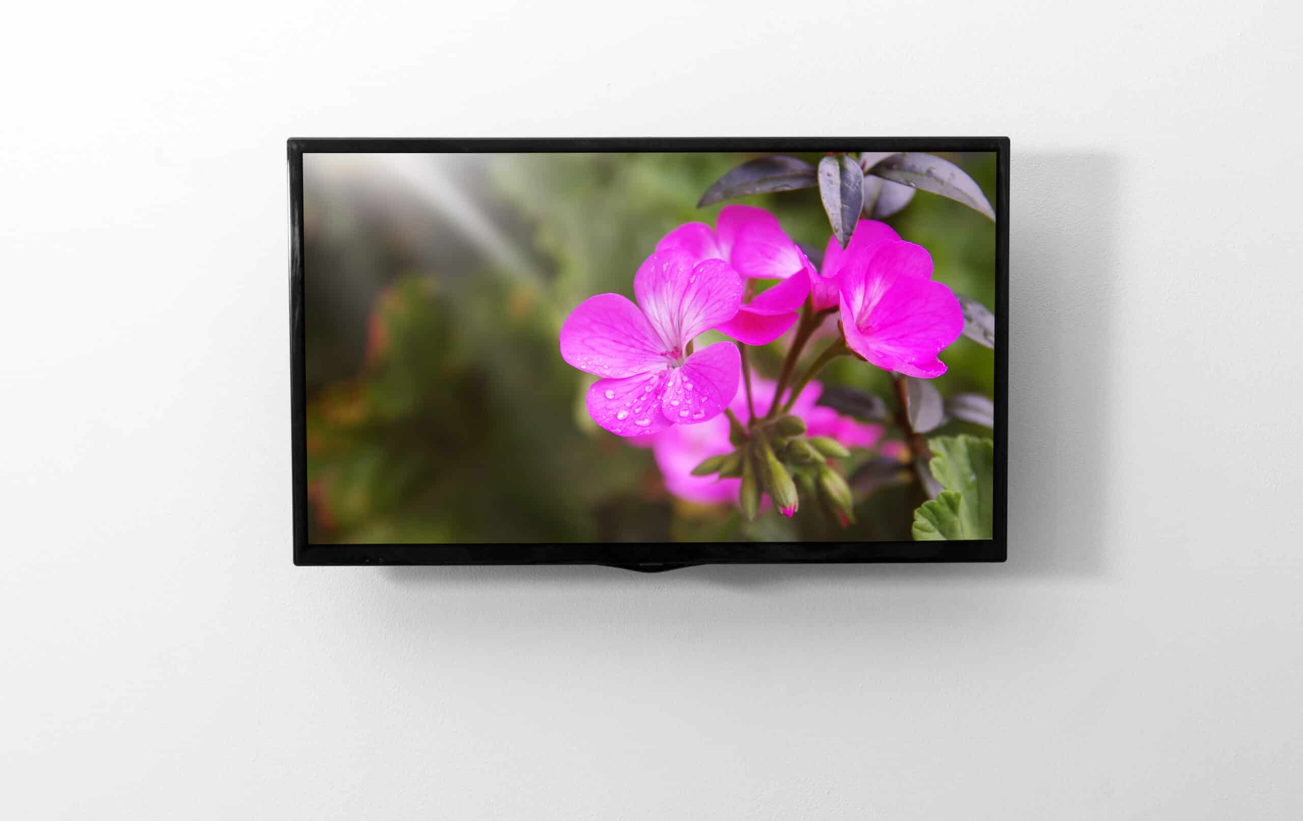 www.appr.com : smart TV 40 inch works with alexa