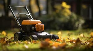 www.appr.com : When were leaf blowers first invented?