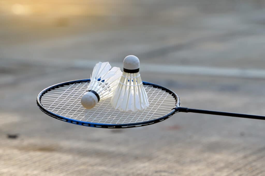 www.appr.com : Can you play badminton without a net?