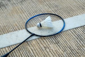 www.appr.com : Do you need an expensive badminton racket?