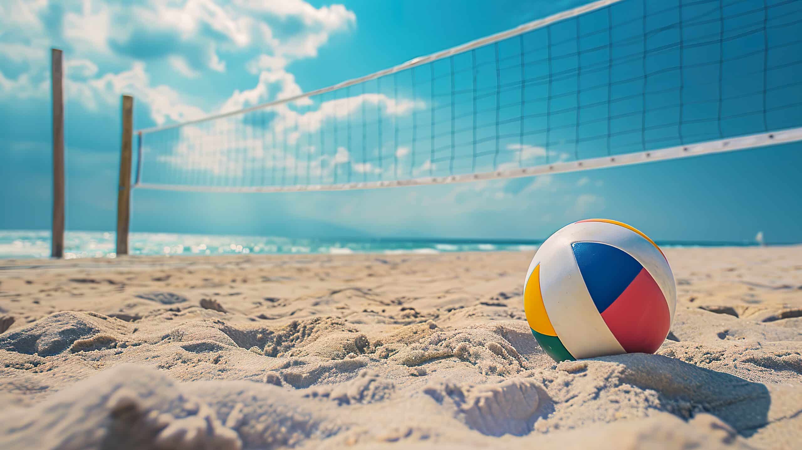 www.appr.com : How do I keep my cat out of the sand volleyball court?