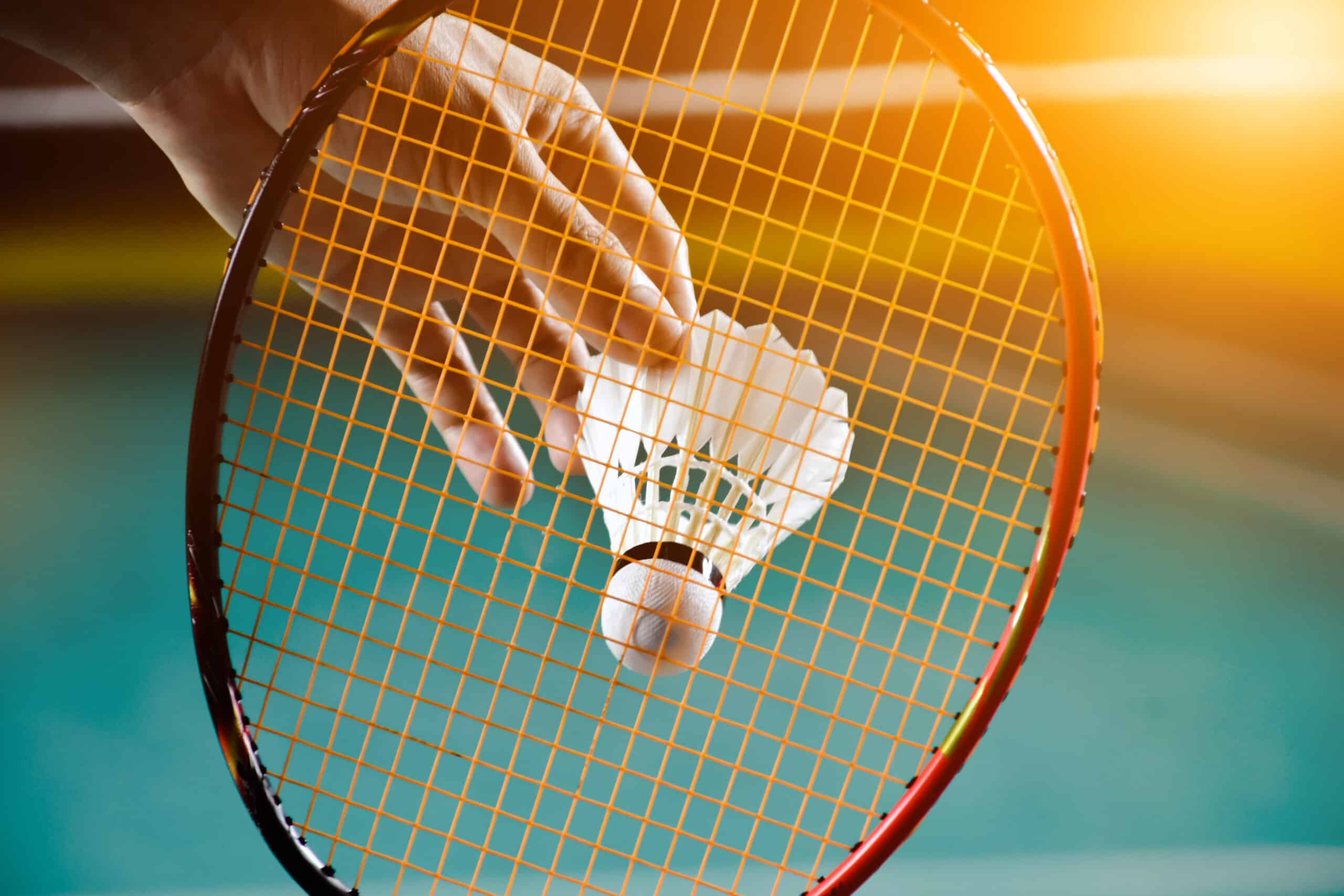 www.appr.com : How do I know if my badminton racket is good?