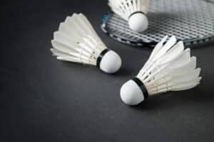 www.appr.com : How much room do you need to play badminton?