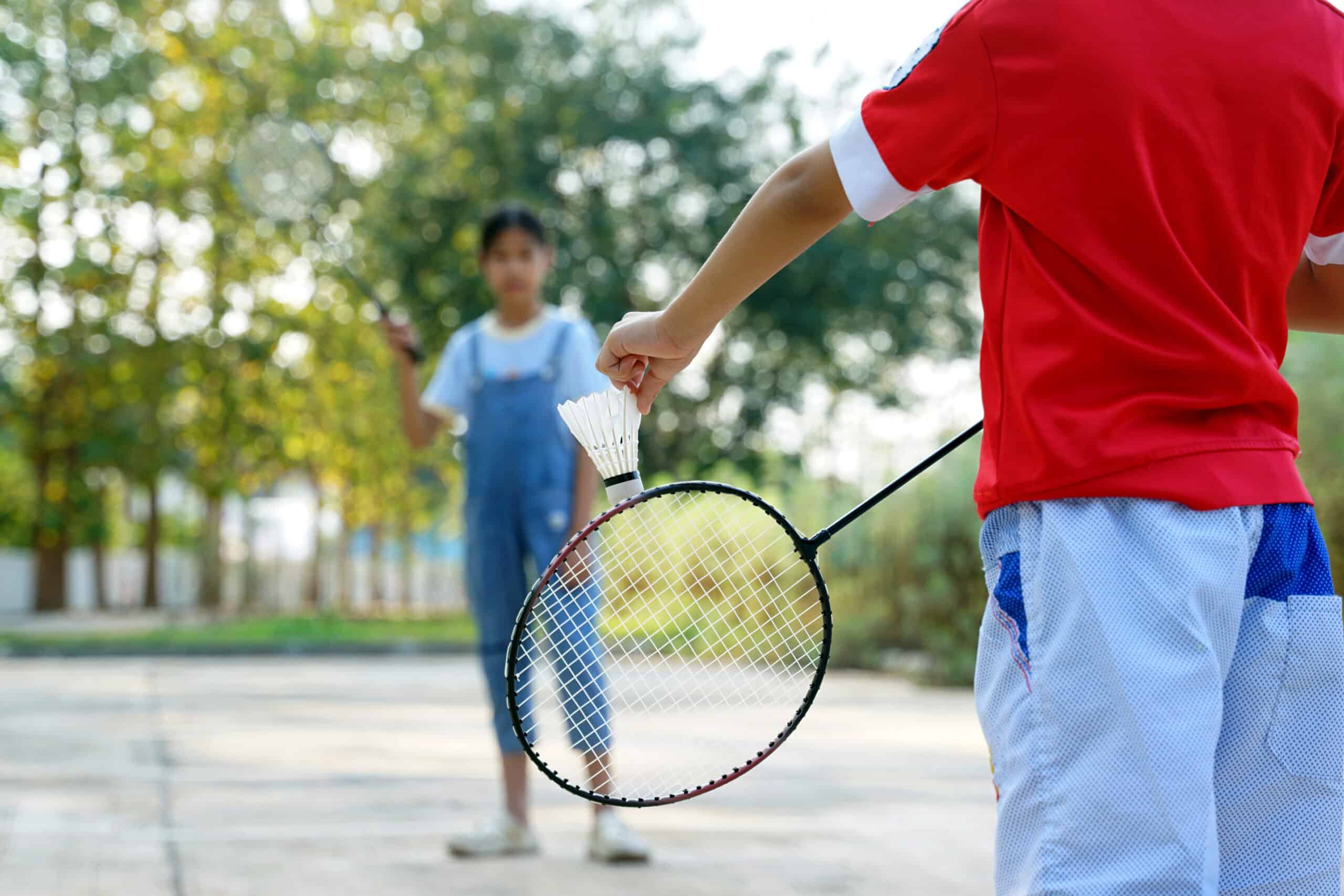 www.appr.com : What are the dimensions of a backyard badminton court?