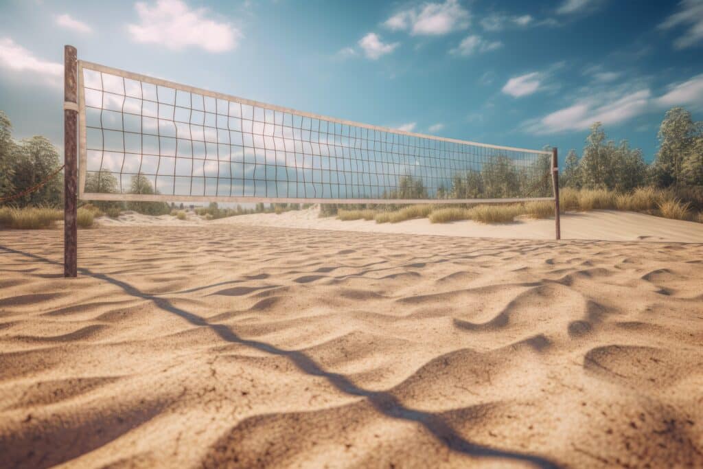 www.appr.com : What are the dimensions of a backyard sand volleyball court?