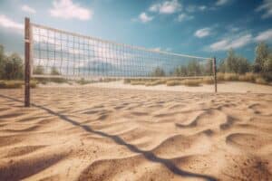 www.appr.com : What are the dimensions of a backyard sand volleyball court?